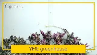 The YME greenhouse: the best kept secret at Yellow Medicine East