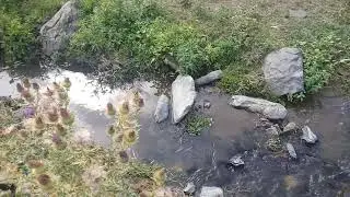 muharrem özer,büyükçatma köyü çay gezintisi 2