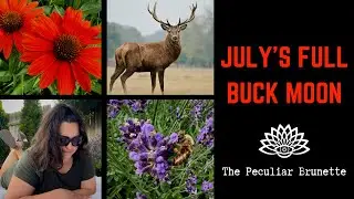 JULY'S FULL BUCK MOON SPIRITUAL MEANING FOR PAGANS AND WITCHES