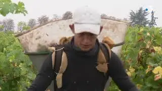 Montreuil-Bellay, petite cité de caractère