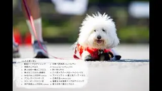 2025年　ワンコの大会振り返り