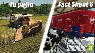T&alpha; &pi;ά&nu;&tau;&alpha; &gamma;&iota;&alpha; &tau;&alpha; &rho;ύ&zeta;&iota;&alpha; &kappa;&alpha;&iota; &tau;&alpha; &nu;έ&alpha; &mu;&eta;&chi;&alpha;&nu;ή&mu;&alpha;&tau;&alpha; | FS25 Fact Sheet 6