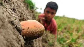 Amazing Fishing Techniques | Unbelievable Monster Eel Fishing