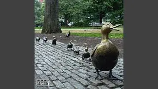 Odd Duck