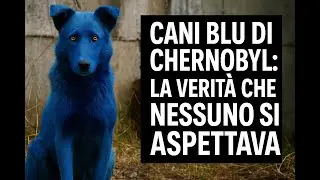 Cani blu di Chernobyl: la verit&agrave; che nessuno si aspettava!