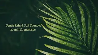 Gentle Rain & Soft Thunder Soundscape | 30 min