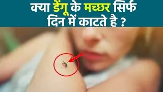 Dengue Machar Kab Katta Hai | डेंगू मच्छर कब काटता है | डेंगू मच्छर सिर्फ दिन में काटता है क्या