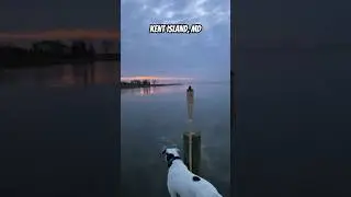 Kent Island, Maryland&mdash;Winter Sunset #shorts