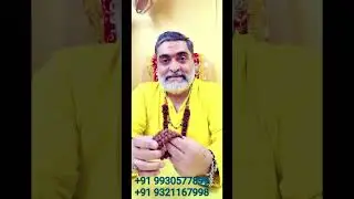 10mukhi Rudraksh Rudraksha Maha-Vidhyaa das Avtar Protection ancestor curse blackmagic spirits vastu