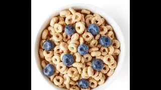 Breakfast cereal  extruder making machinery cheerios production plant