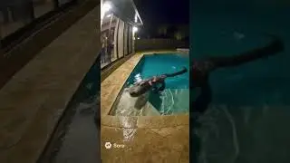 Giant Alligator Invades Backyard Pool!