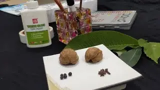 How to Make a Ladybug Out of a Walnut Shell: A Cute and Creative Craft