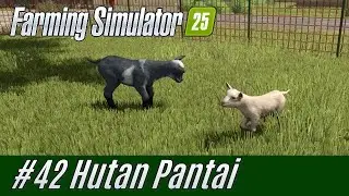 LS25 Hutan Pantai #42: Young Animals [German]