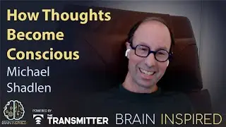 BI 230 Michael Shadlen: How Thoughts Become Conscious