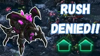 Zealot Rush? No Problem &ndash; Roach Hydra Strikes Back!