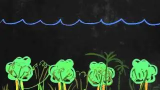 Hidroeléctricas en la amazonía ¿energía limpia?
