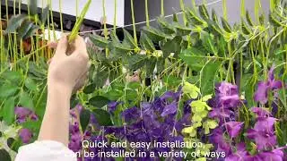 Wisteria installation and use