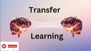 Transfer Learning