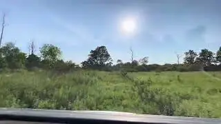 Jeep Off Roading in Clarence