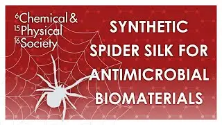 Synthetic Spider Silk - Jolanta Beinarovica - CPS 2021