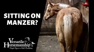 SITTING ON MANZER? // Versatile Horsemanship