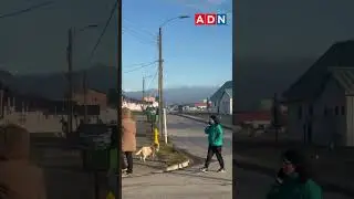 Alerta de tsunami en Chile: habitantes evac&uacute;an sector costero de Magallanes tras fuerte sismo