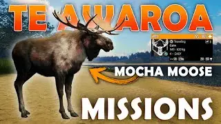 Hunt the Elusive MOCHA MOOSE in the TE AWAROA MISSIONS!!!