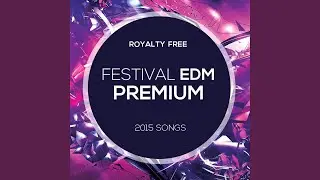 Positive and Melodic Commercial EDM Track