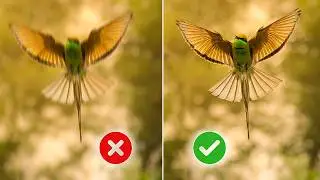 Camera Basics: Shutter Speed Explained | What is Shutter Speed in Photography?