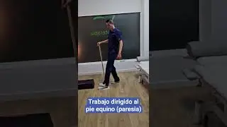Unos ejercicios para estabilizaci&oacute;n de tobillo y estimulaci&oacute;n de la flexi&oacute;n dorsal para pie equino