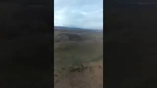 kenfig dunes nature reserve. april 2023