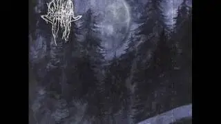 Severoth - Forestpaths II: Eyes of Dark Night