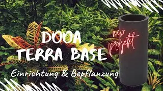 DOOA TERRA BASE 🌿 - Einrichtung & Bepflanzung - Step by Step Tutorial