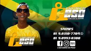 CD TRANSA REGGAE 2018 - O BOYZINHO DO PESO (PRA PARED&Atilde;O 2018)