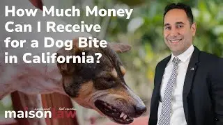 How Much Money Can I Receive for a Dog Bite in California?
