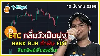 ปรากฎการ Bank Run! ใน USA สินทรัพย์เสี่ยงอย่าง BTC พุ่งทะยานฟ้า กลิ่นวัวเป็นฝูงมาแล้ว!