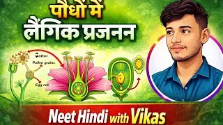 पौधो में लैंगिक प्रजनन एक ही वीडियो में पूरा जो 12वी और नीट के लिए बहुत जरुरी है