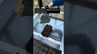 Es gibt 4 Wege f&uuml;r die Ansaat - welche passt zu dir?  #gardenflowers #gardendiy
