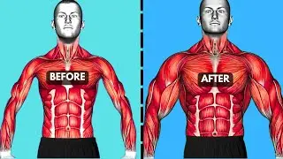 Full Body Muscle Transformation! Workout At Home 5 Min Effective Exercises