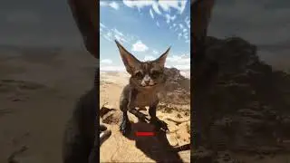 Jerboa Weather Warnings #ark #arksurvivalascended #scorchedearth