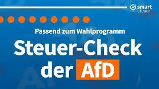 Das plant die AFD bei der STEUER (Wahlprogramm AFD 2021)