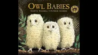 Owl babies by Martin Waddell, read by Julie form the Toddler Room