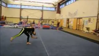 Double Butterfly Twist