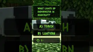 Minecraft Quiz 3 ⚔️ #minecraft #minecraftmemes #minecraftshorts #minecraftpe #minecraftquiz #shorts