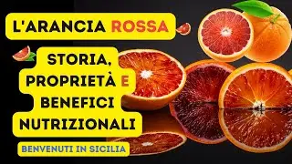 L'Arancia Rossa: Storia, Proprietà e Benefici Nutrizionali #AranciaRossa#TaroccoIGP#Sicilia#Catania