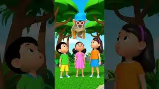 Mystery Box Animals 📦😲 | Dog Cat Surprise | Kids Cartoon Short