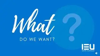 IEU(SA) Position Statement - What do we want?