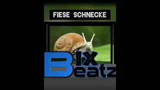 #instrumental #rapbeat #trapbeat