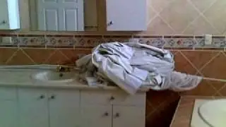 19062010001.mp4