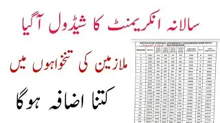 Annual increment chart 2020//Salary increase govt employee..